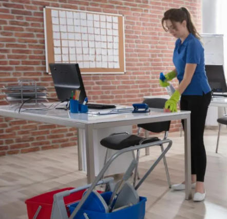 Professional cleaning equipment